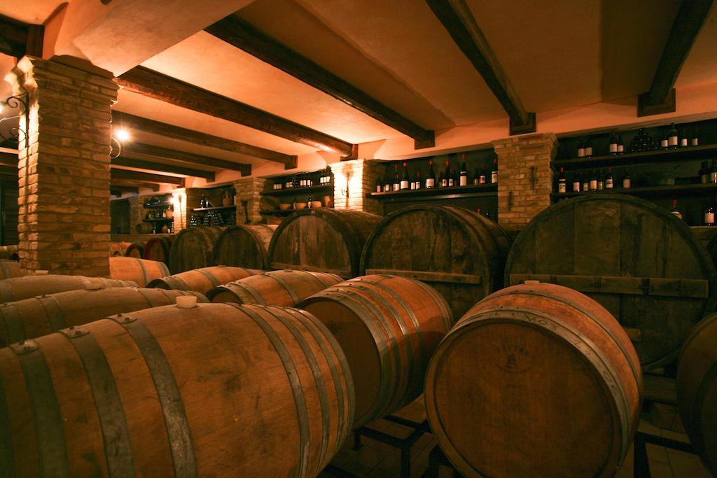 Azienda Vitivinicola Sergio Del Casale Vasto Ngoại thất bức ảnh